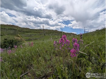 598 Mount Mcconnell Dr, Livermore, CO 80536