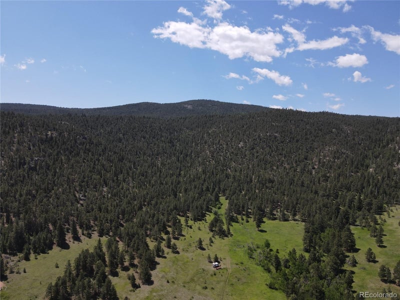 591599 Soul Shine Rd, Drake, CO 80515