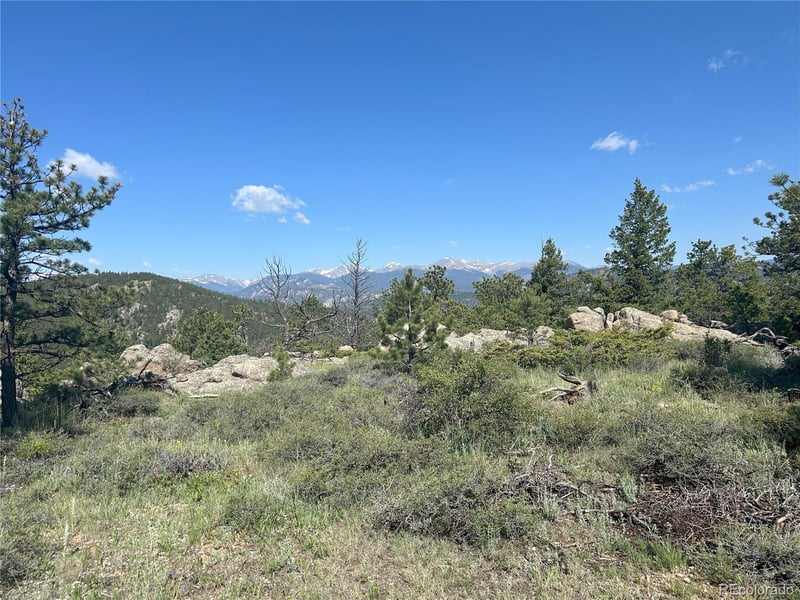 591599 Soul Shine Rd, Drake, CO 80515