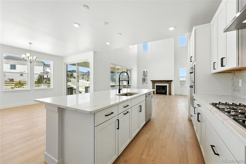 1733 Fox Trotter Point, Castle Rock, CO 80104