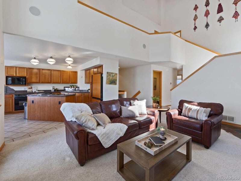 0251 Fawn Ct, Silverthorne, CO 80498