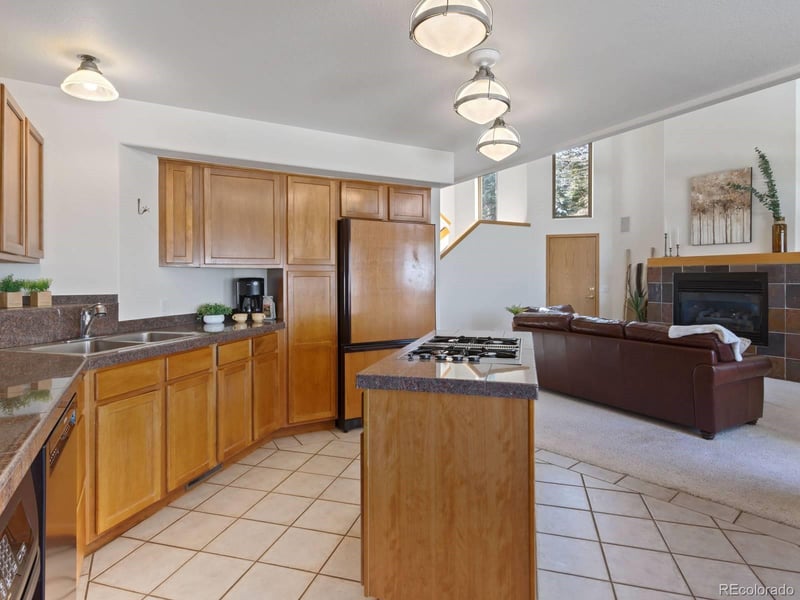 0251 Fawn Ct, Silverthorne, CO 80498