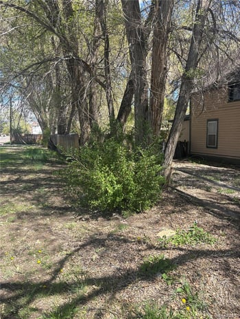 206 Lyell St, Monte Vista, CO 81144