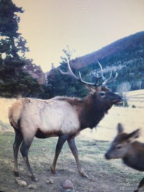 2137 Riccardo Ln, Fort Garland, CO 81133