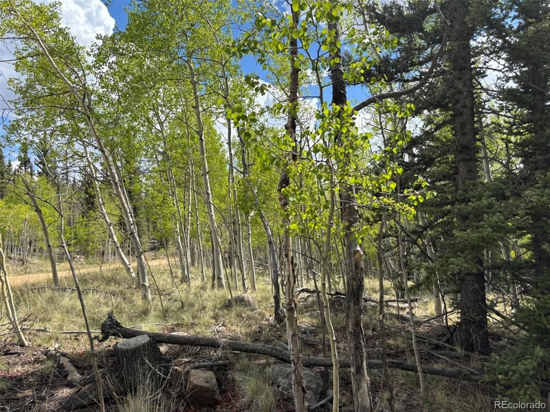 514 Chief Trl, Como, CO 80432