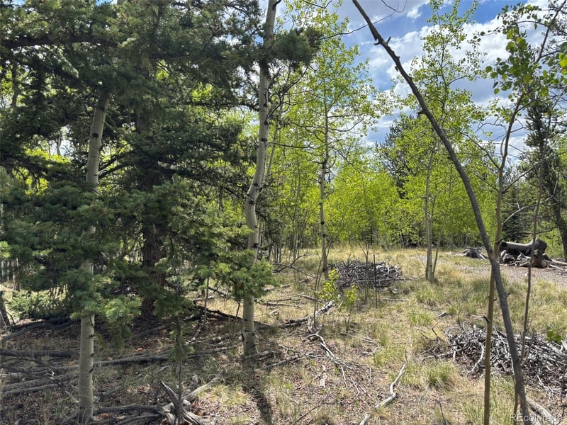 514 Chief Trl, Como, CO 80432