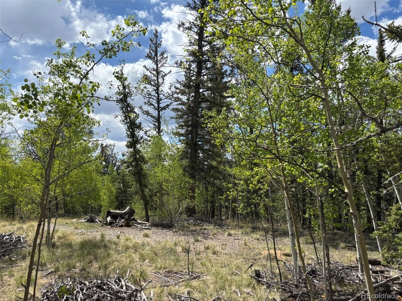 514 Chief Trl, Como, CO 80432