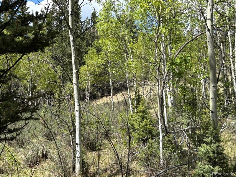 113 Ithaca Ln, Como, CO 80432