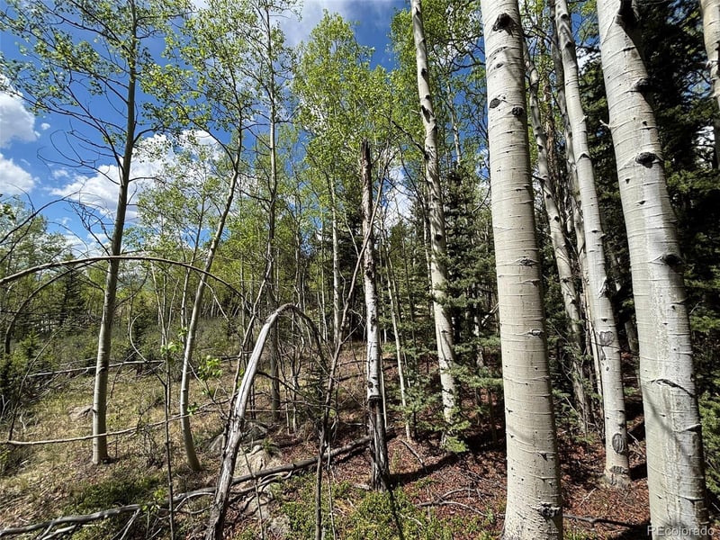 113 Ithaca Ln, Como, CO 80432