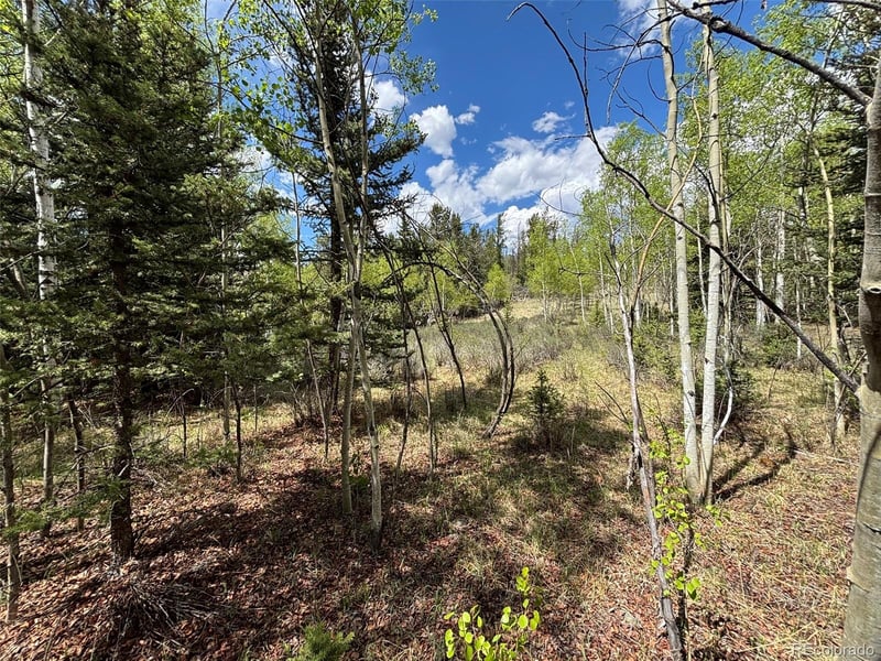 113 Ithaca Ln, Como, CO 80432