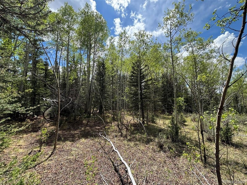 113 Ithaca Ln, Como, CO 80432