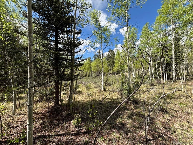 113 Ithaca Ln, Como, CO 80432