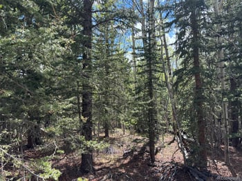 75 Ithaca Ln, Como, CO 80432