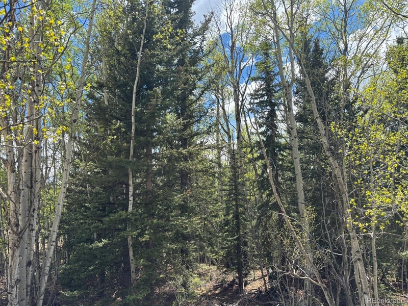 75 Ithaca Ln, Como, CO 80432