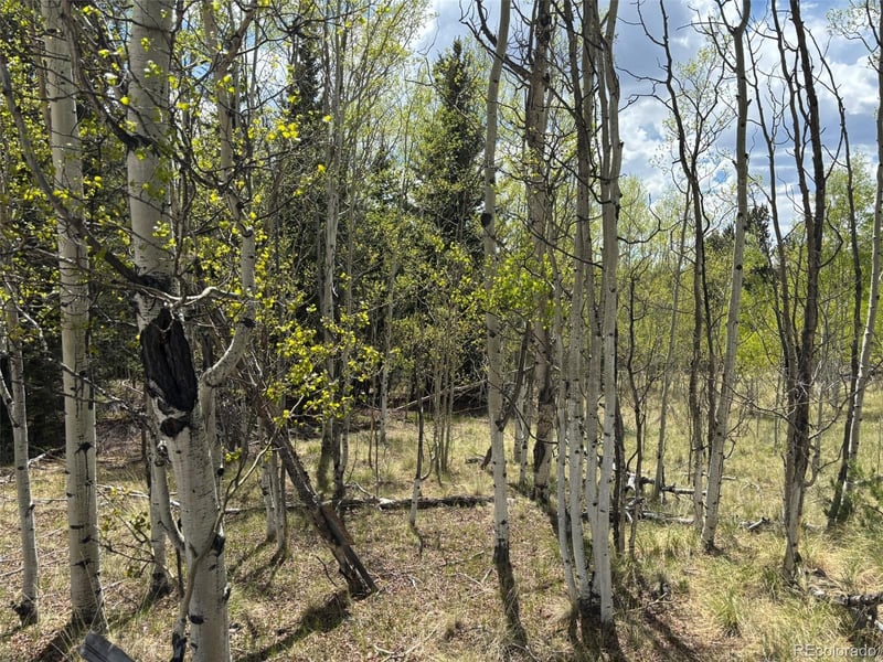 75 Ithaca Ln, Como, CO 80432