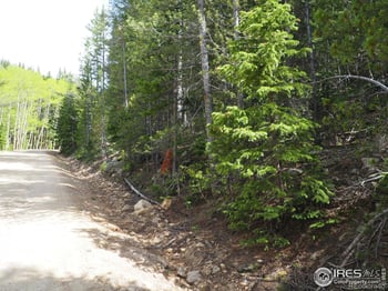 0 Gamble Gulch, Black Hawk, CO 80422
