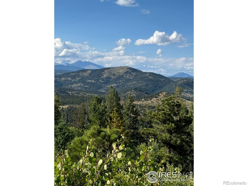 178 Hazelwood Dr, Nederland, CO 80466