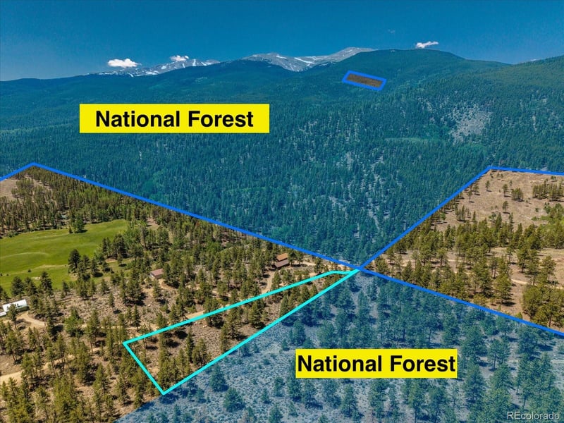 Overlook Dr, Buena Vista, CO 81211