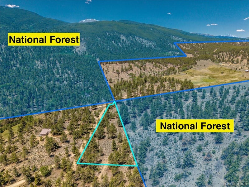 Overlook Dr, Buena Vista, CO 81211