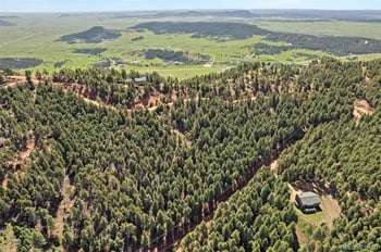 13294 Firedog Way, Larkspur, CO 80118