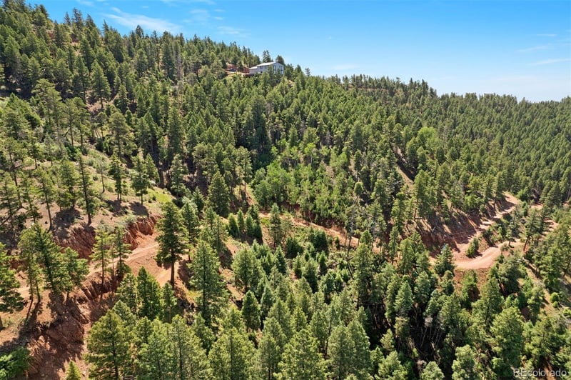 13294 Firedog Way, Larkspur, CO 80118