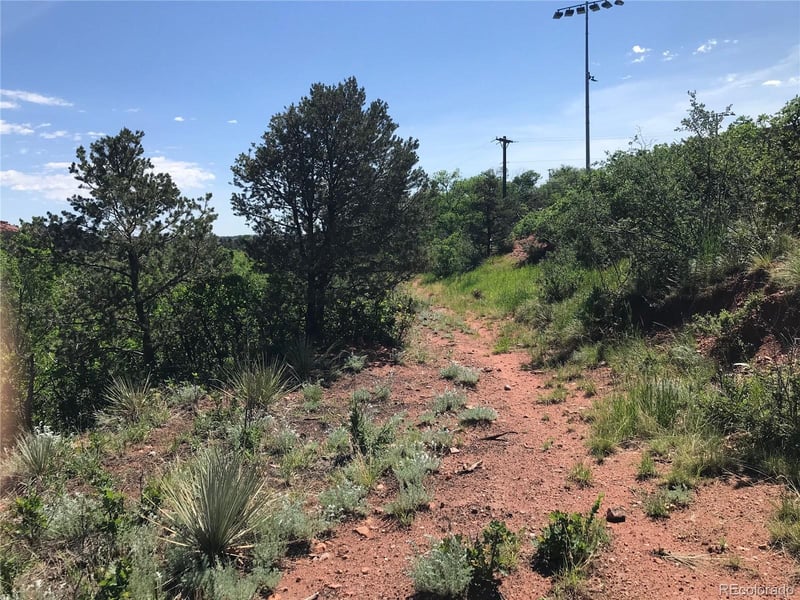 427 Bond St, Manitou Springs, CO 80829