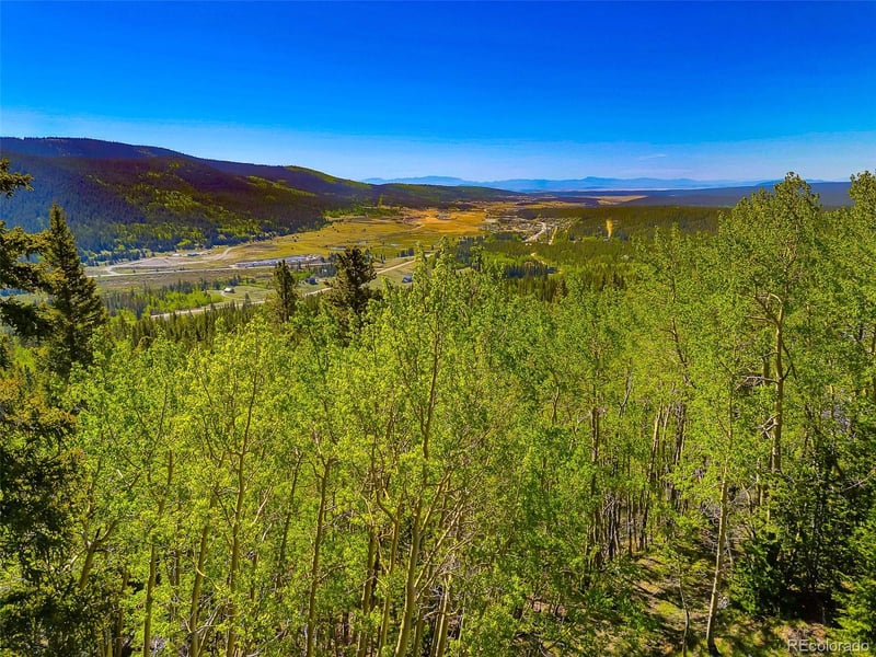 715 Lewsader Rd, Alma, CO 80420