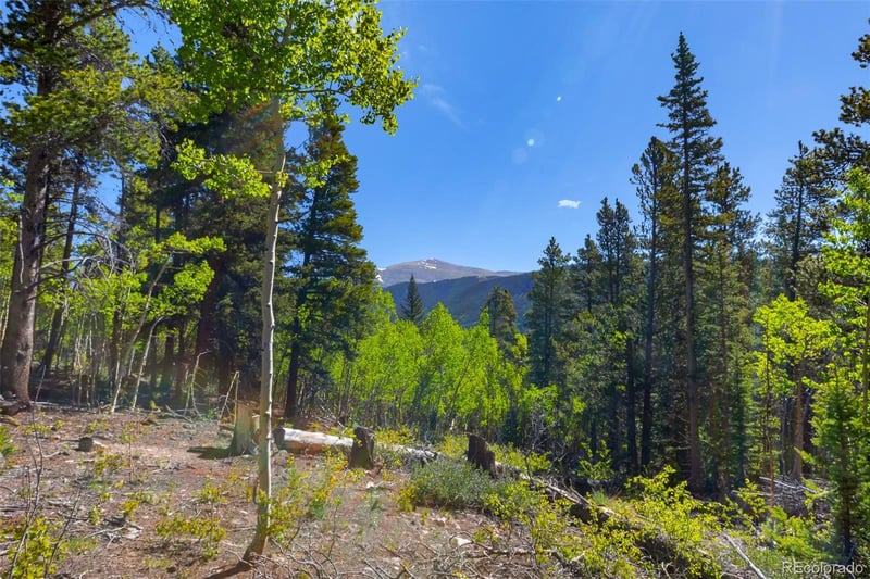 715 Lewsader Rd, Alma, CO 80420