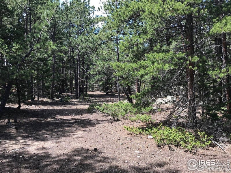 575 Ranch Rd, Ward, CO 80481