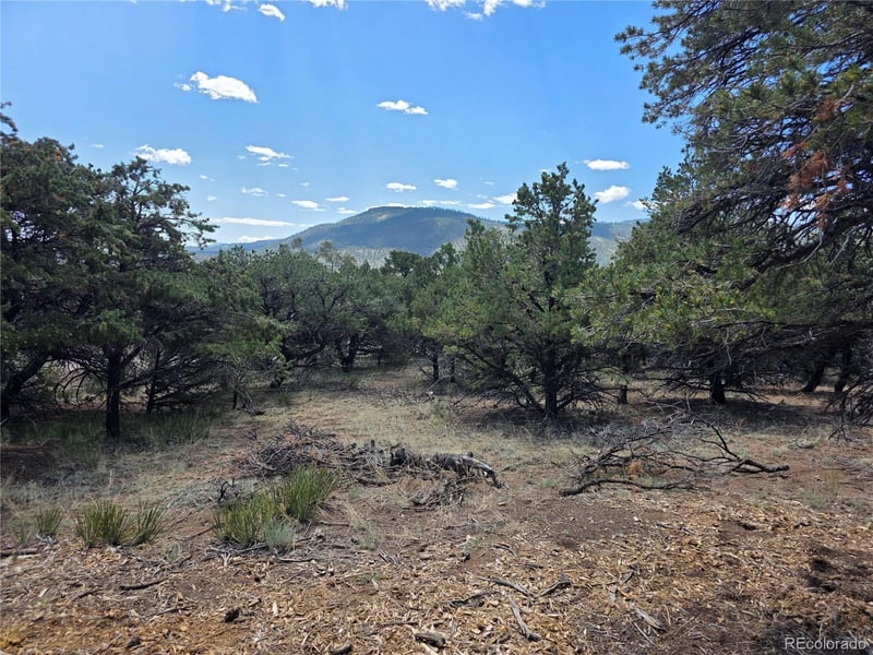 163 Loveland Pass Rd Lot 15-16-17-18, South Fork, CO 81154
