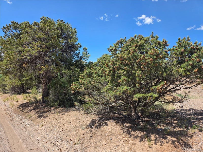 163 Loveland Pass Rd Lot 15-16-17-18, South Fork, CO 81154