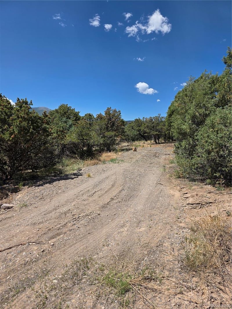 163 Loveland Pass Rd Lot 15-16-17-18, South Fork, CO 81154