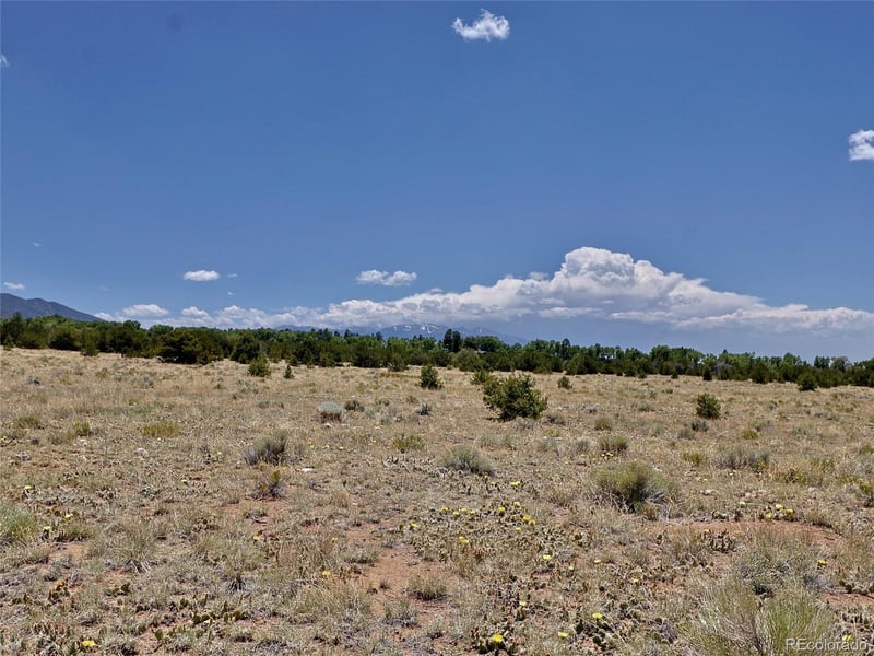 171 Gold Rush Trl, Crestone, CO 81131