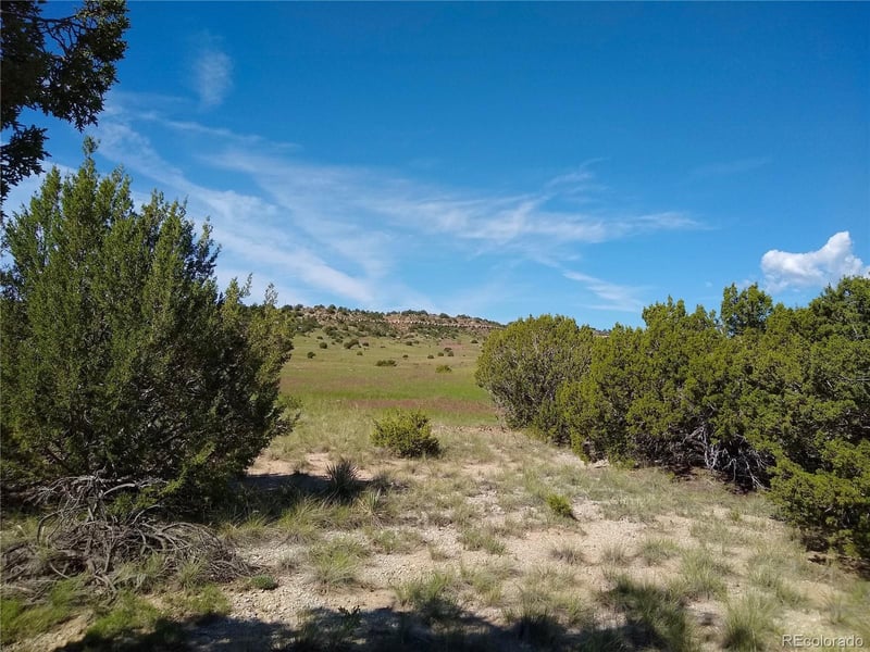 0 County 113 Ln Lot 92, Rye, CO 81069