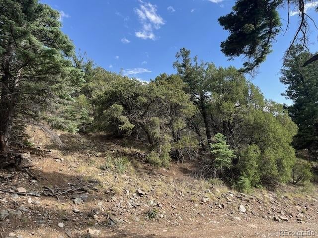 314 Arrastre Rd, Mosca, CO 81146
