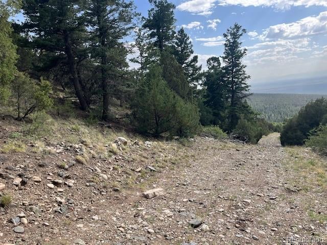 314 Arrastre Rd, Mosca, CO 81146