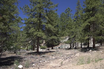 426 Parry Peak Dr, Twin Lakes, CO 81251