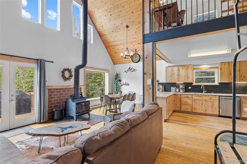 894 Peterson Dr, Alma, CO 80420