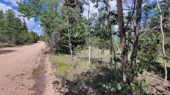 943 Bear Ln, Jefferson, CO 80456