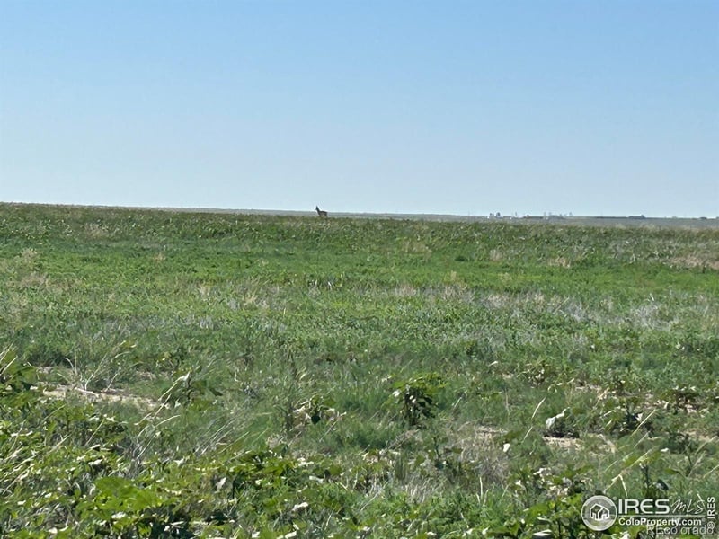 Cr 74 , Briggsdale, CO 80611