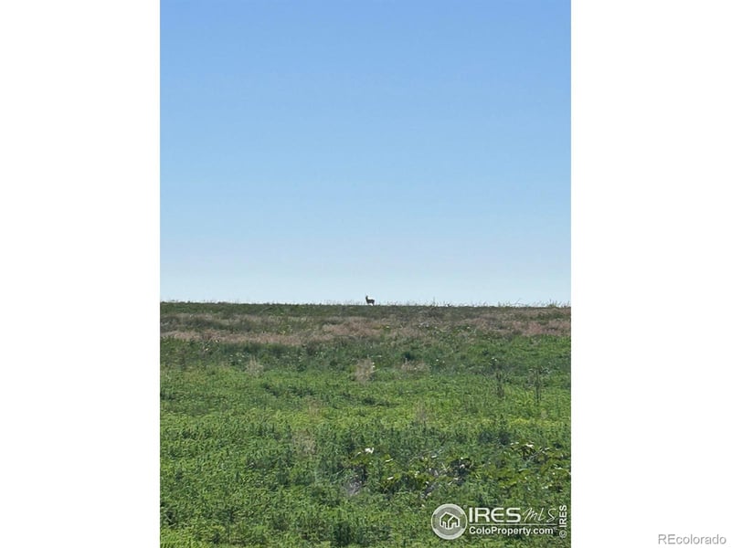 Cr 74 , Briggsdale, CO 80611