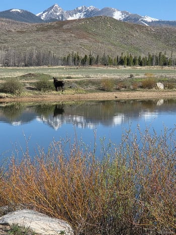 1443 Gcr 49 , Grand Lake, CO 80447
