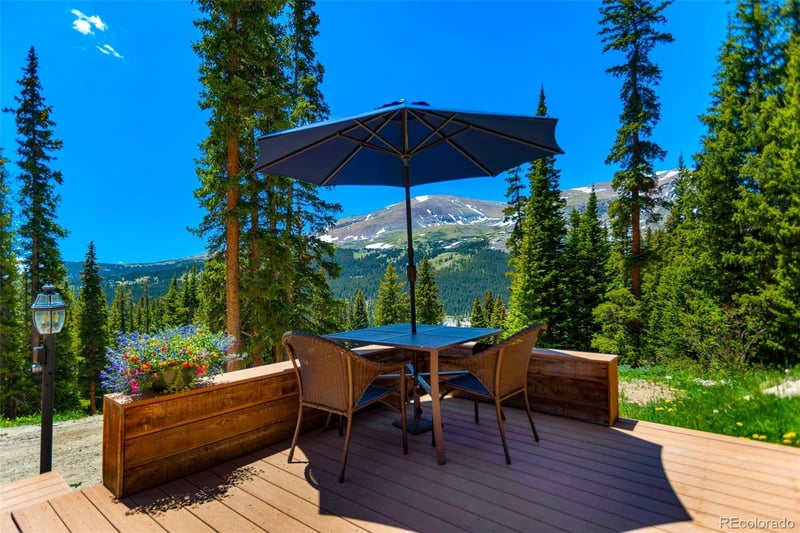 60 Jackson, Alma, CO 80420