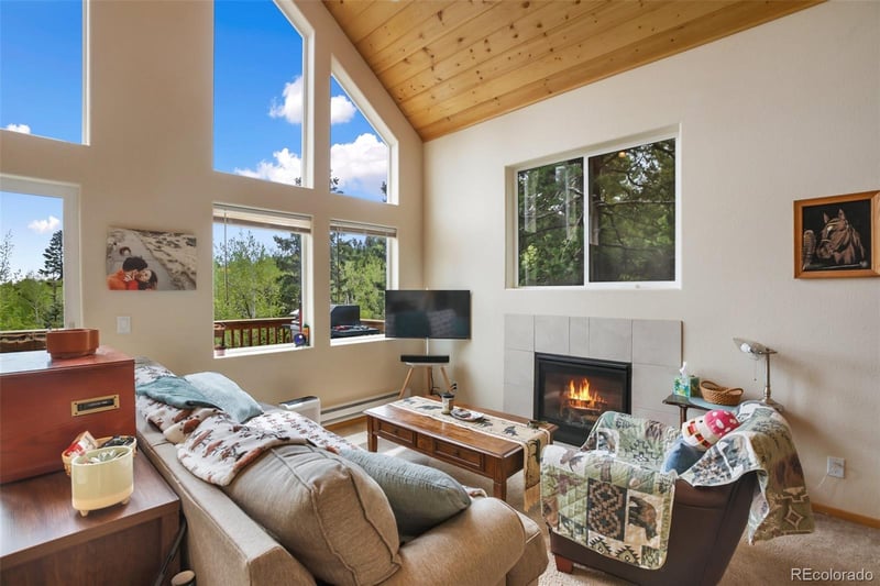 501 Wakanda Trl, Woodland Park, CO 80863