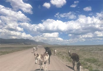 Parrot Dr, Alamosa, CO 81101