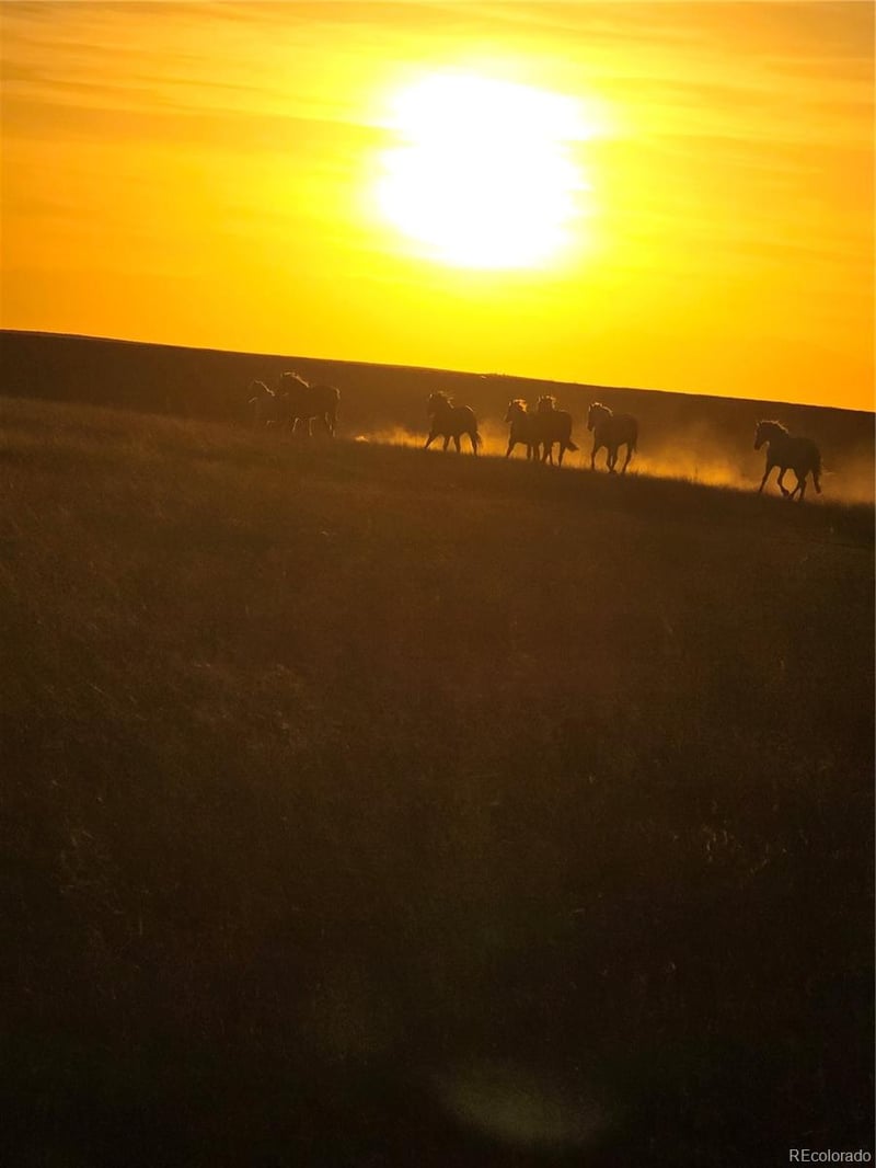 Parrot Dr, Alamosa, CO 81101