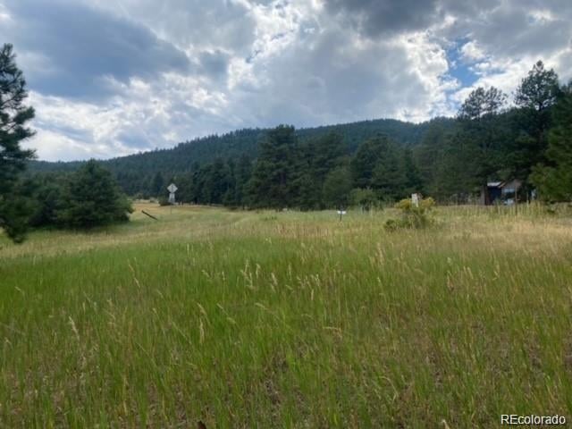 8036 Settlers Dr, Morrison, CO 80456