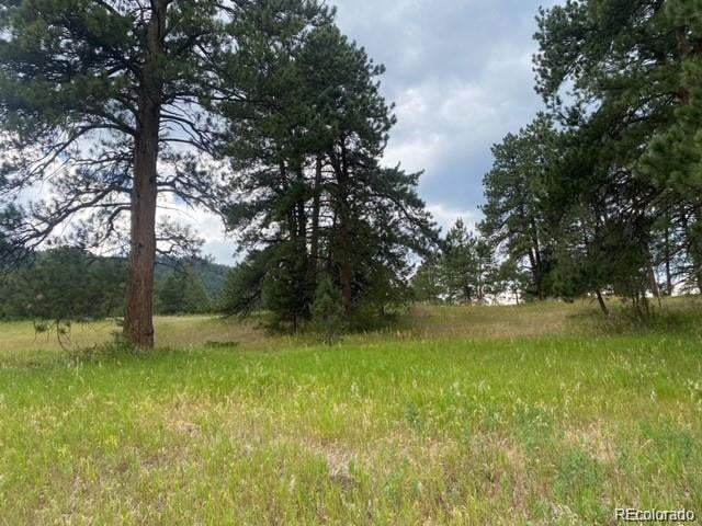 8036 Settlers Dr, Morrison, CO 80456