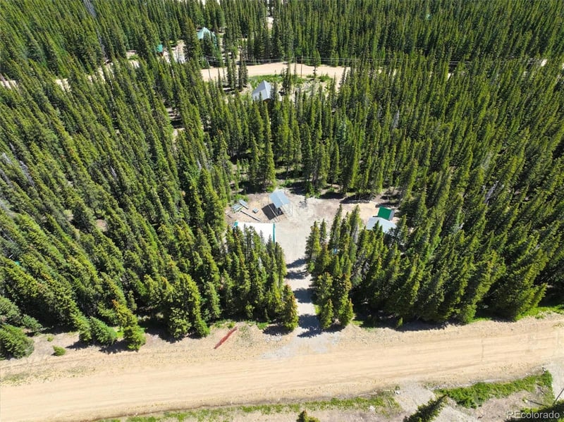 832 Prunes Pl, Fairplay, CO 80440
