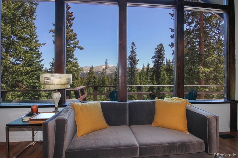 135 Nugget Ln, Alma, CO 80420